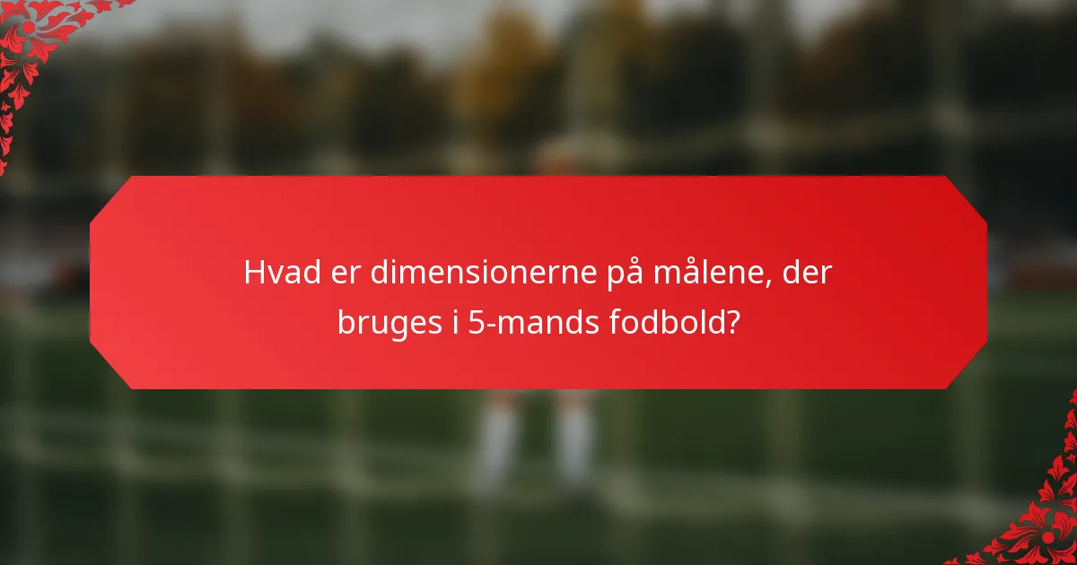 Hvad er dimensionerne på målene, der bruges i 5-mands fodbold?