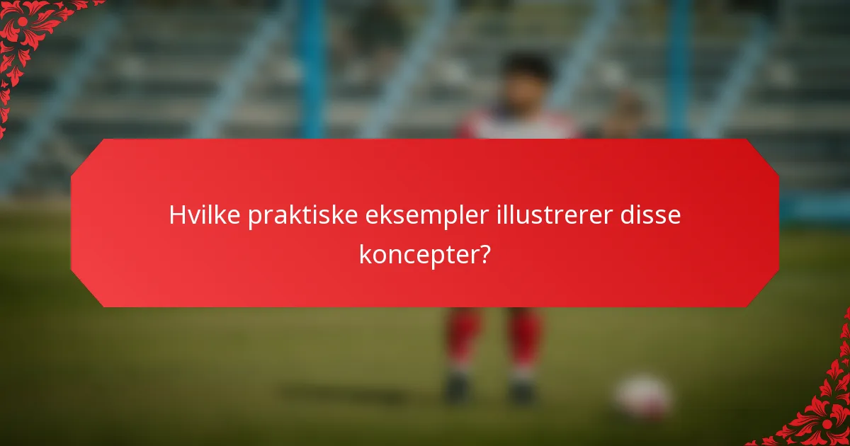 Hvilke praktiske eksempler illustrerer disse koncepter?